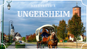 Ungersheim_calèche_France