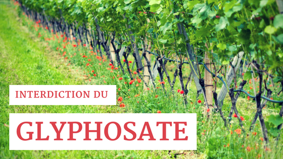 Interdiction du Glyphosate