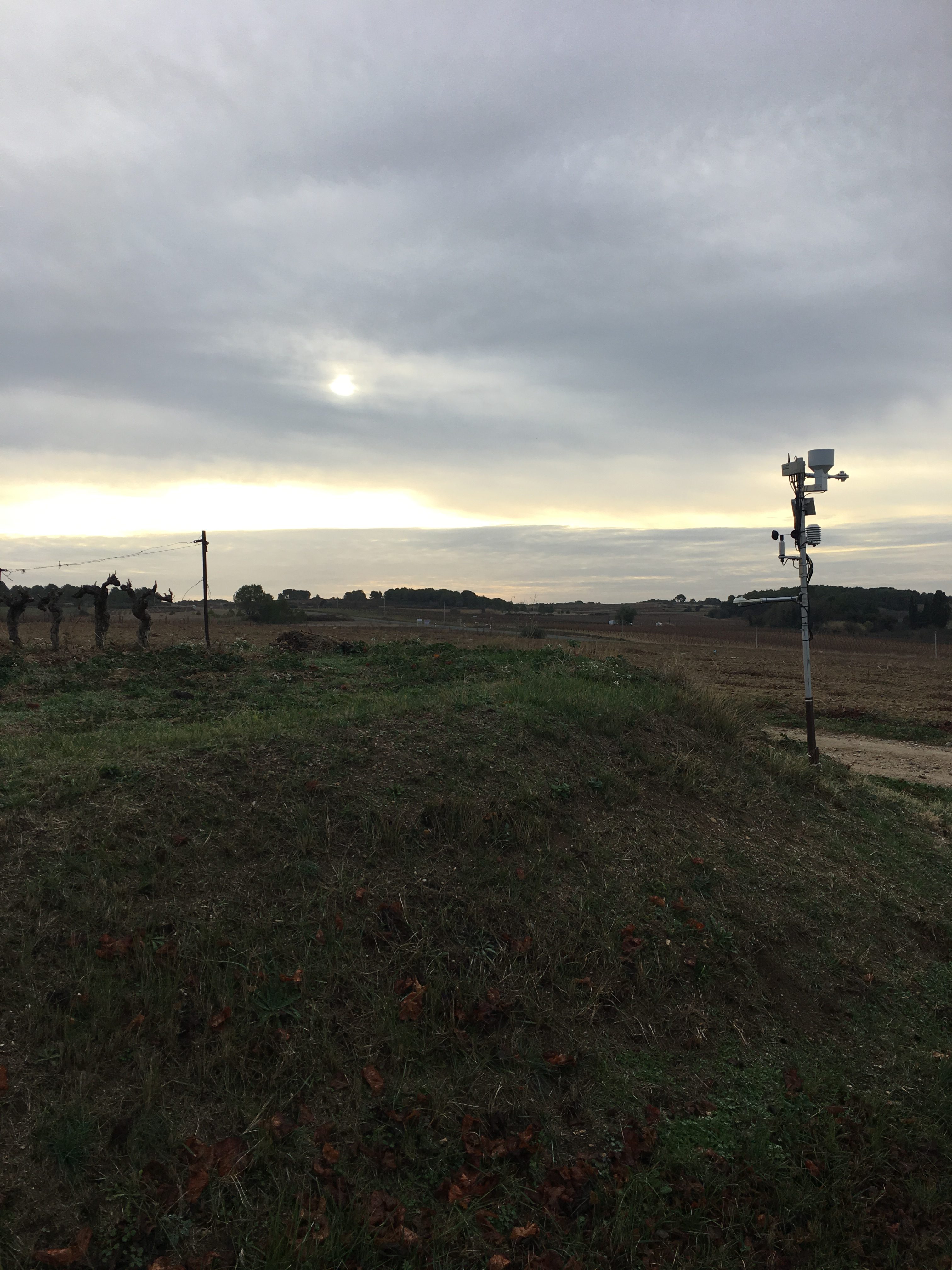 Une station météo chez Paul Mas permettant de faire des prévisions précises quant au traitement des vignes 