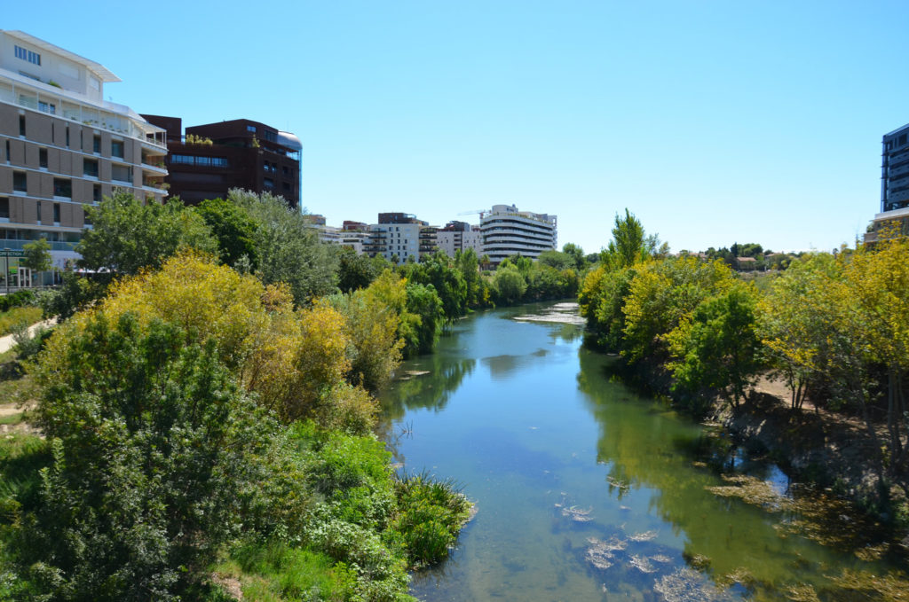 Les 5 meilleurs spots pour courir à Montpellier Master Marketing Vente