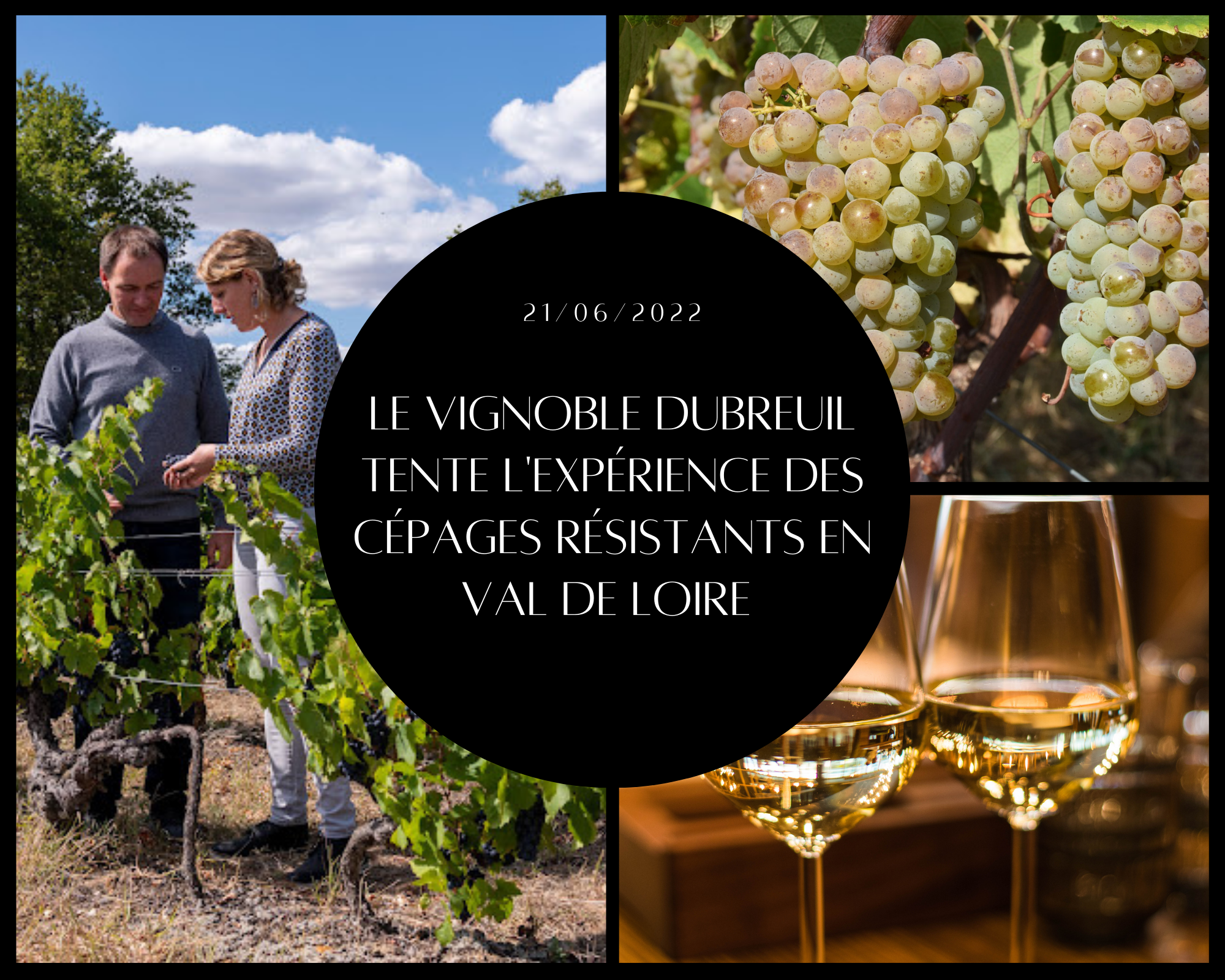 Laure et Stéphane Dubreuil font partie des premiers à avoir planté et vinifié l’un des cépages résistants autorisés par l’INRA. Après 3 ans d’attente, ils lancent la commercialisation de leurs premières cuvées de Floréal Blanc lors du salon Wine Paris.