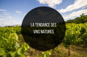 Ces vins font partie de notre quotidien et se qualifient de vins de niche. Aujourd’hui, on vous emmène découvrir cette tendance et son marché !