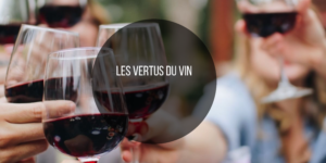 Les études montrent que le vin, en particulier le vin rouge, peut avoir des effets bénéfiques sur la santé en raison de la présence d’antioxydants et de propriétés anti-inflammatoires.
