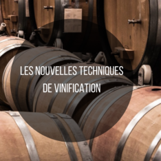 Dans cet article, nous explorerons trois de ces techniques : l’utilisation de levures indigènes, la macération carbonique et la fermentation en amphores en argile.